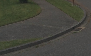 raised curb